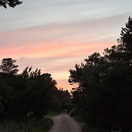 度假居 Modern By Dunes - By Traum 瓦伊厄斯斯特兰德