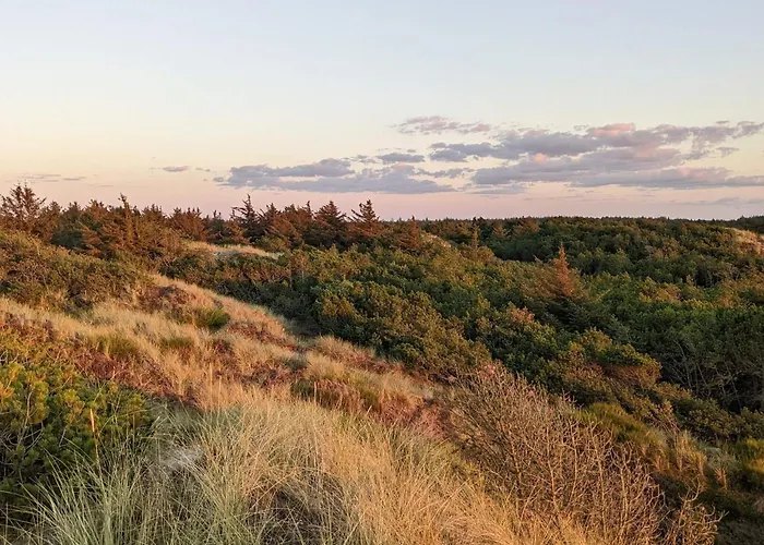 Modern By Dunes - By Traum * Vejers Strand