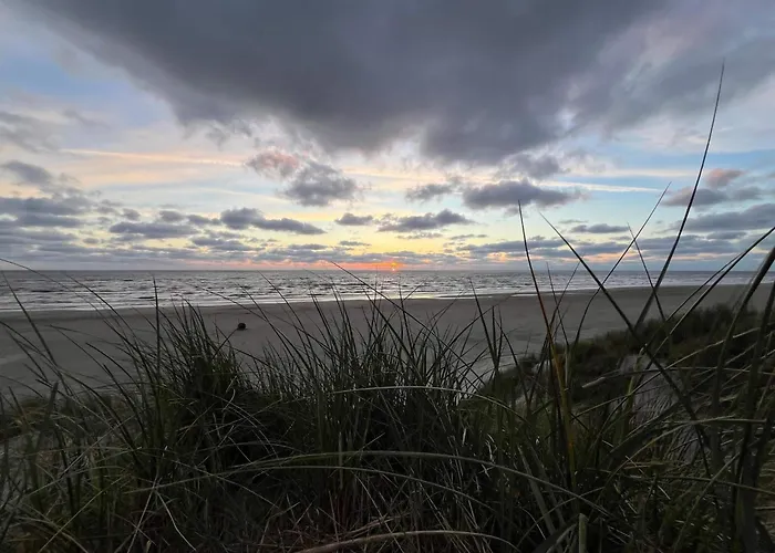 Modern By Dunes - By Traum * Vejers Strand